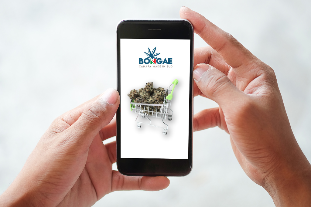 Cannabis Per Uso Terapeutico - Il Migliore Store Dove Acquistarla