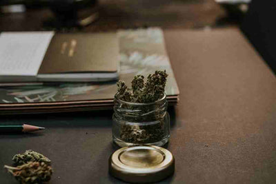 Coltivazione Cannabis Legale - Tutto quello che c'è da sapere