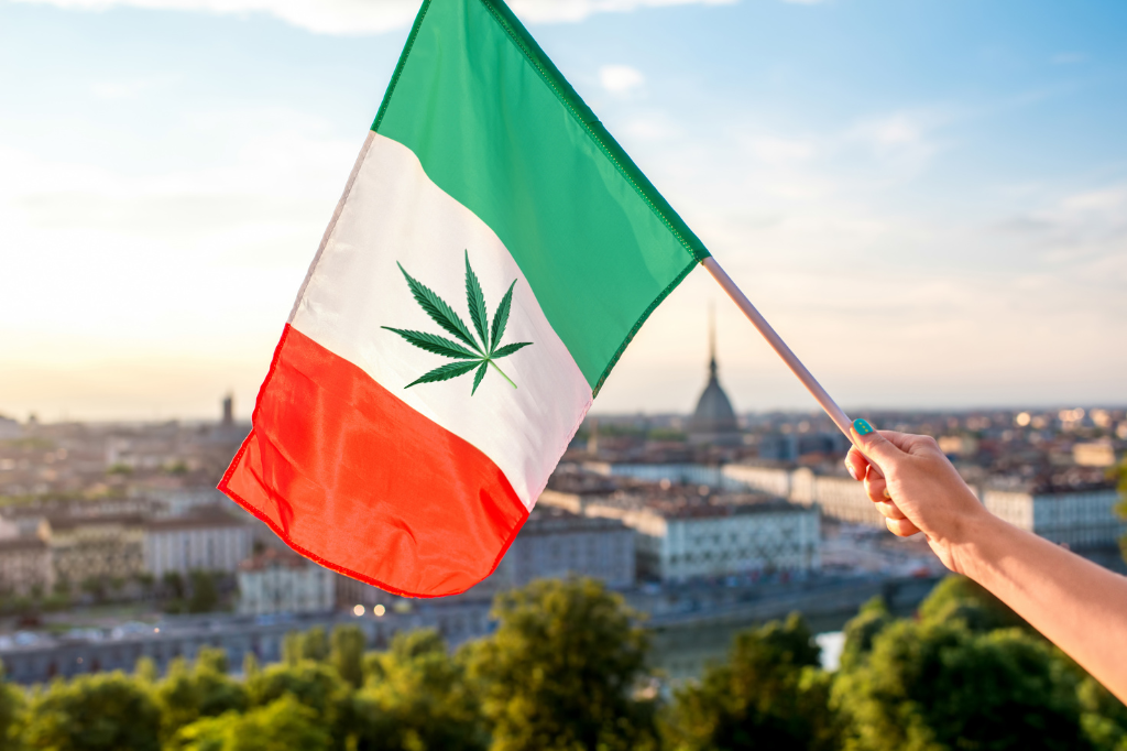 Immagine Cannabis legale terapeutica situazione attuale in Italia Bongae