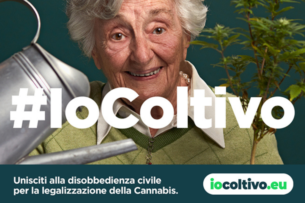 “IO COLTIVO”, Funziona la campagna a favore della Cannabis ?
