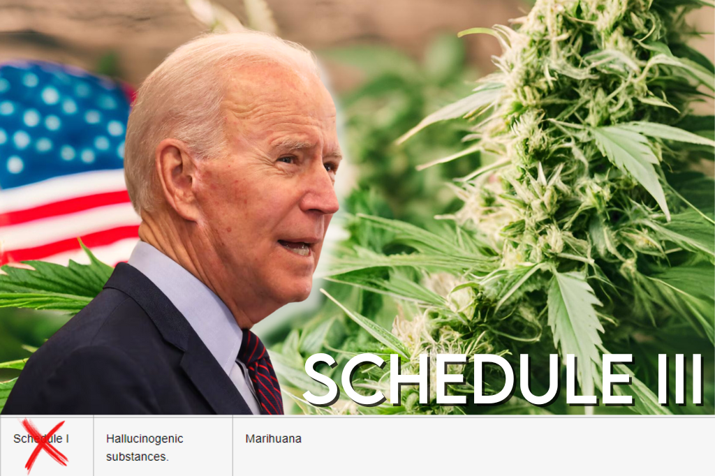 Il Presidente Biden Declassifica la Cannabis a Livello Nazionale, Non è Più Considerata una Droga Pesante