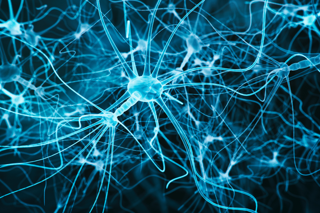 Benefici del Sistema Endocannabinoide per la salute