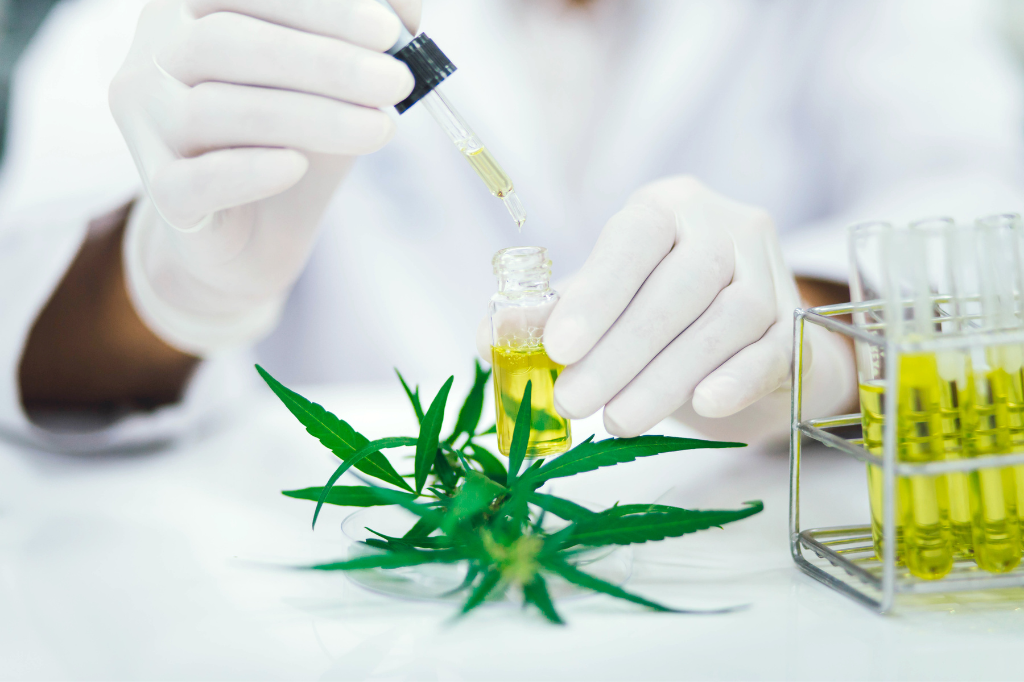 Cannabinoidi naturali rendono la cannabis terapeutica una perfetta soluzione al tuo problema