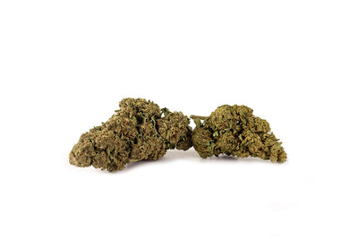 Fiore gruppo di Fruit Squirt CBD 21% ~ Cannabis Light | GreenHouse - Bongae