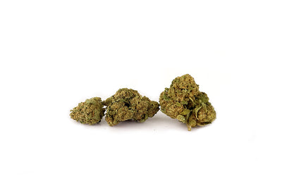 Fiore gruppo di Fruit Squirt CBD 21% ~ Cannabis Light | GreenHouse - Bongae 