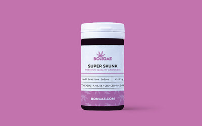 Super Skunk - CBD 24% ~ Cannabis Light | Indoor - Bongae 