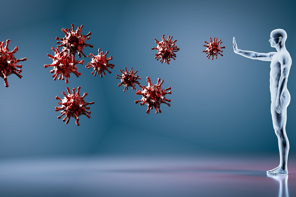 Ruolo del Sistema Endocannabinoide nel sistema immunitario - Bongae