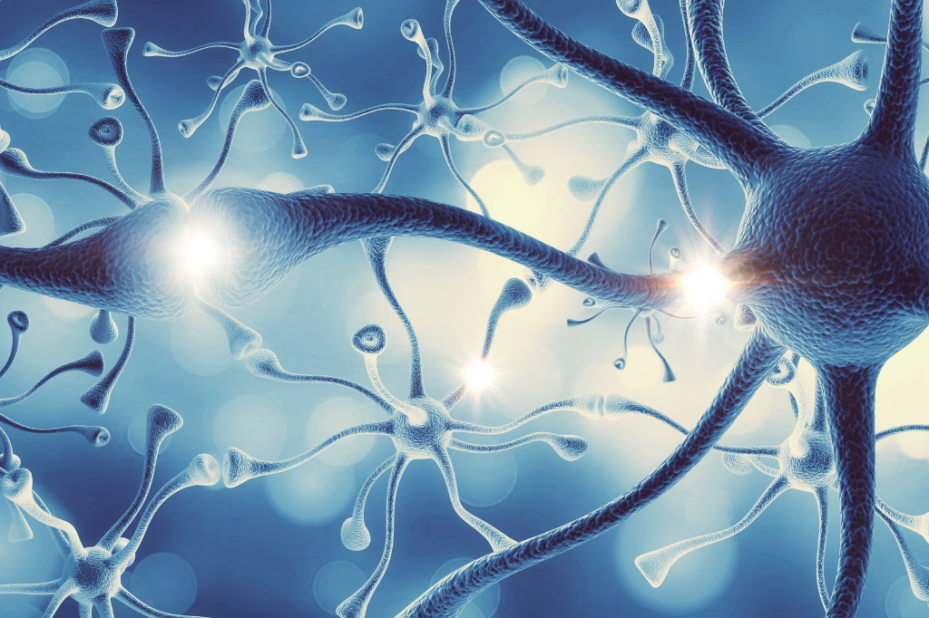 Sistema Endocannabinoide (SEC)