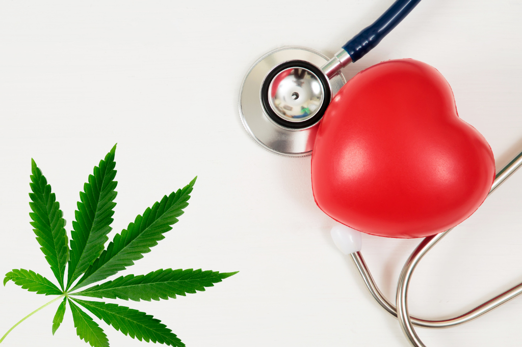 CBD e Malattie Cardiovascolari: può aiutare a Prevenire e Trattarle?