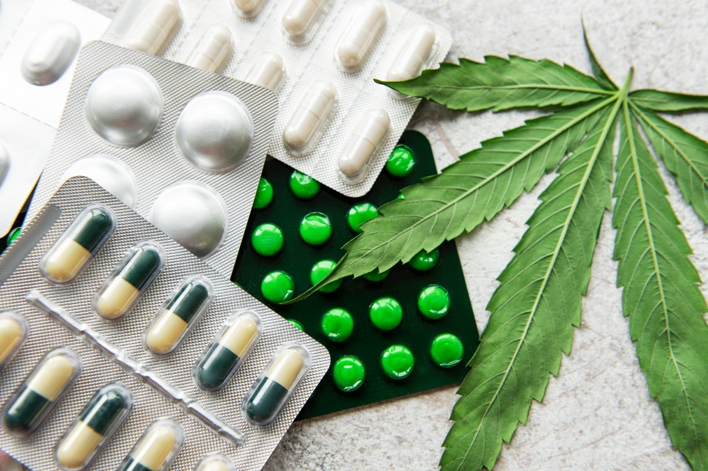 Articolo su CBD e Farmaci tradizionali, interazione non disturba gli effetti della canapa legale ad elevato cannabidiolo - Bongae