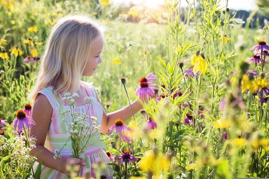 Somministrare CBD ai Bambini e possibile ?