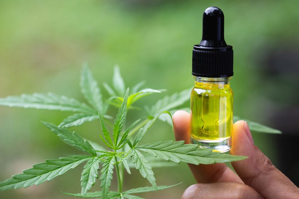 Olio CBD: Benefici, effetti, uso e dove comprarlo