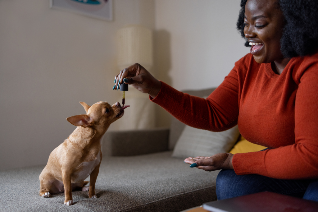 Olio CBD per Animali Domestici: Uso e Benefici