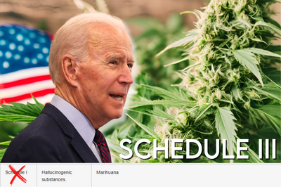 Il Presidente Biden Declassifica la Cannabis a Livello Nazionale, Non è Più Considerata una Droga Pesante