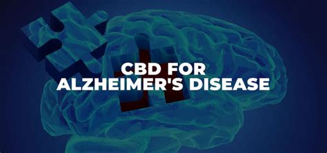 Il CBD contro i disaggi del Morbo di Alzheimer