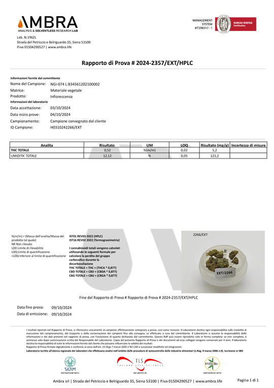 Analisi CBD aggiornate varietà blue dream - 14 - 10 - 2024 