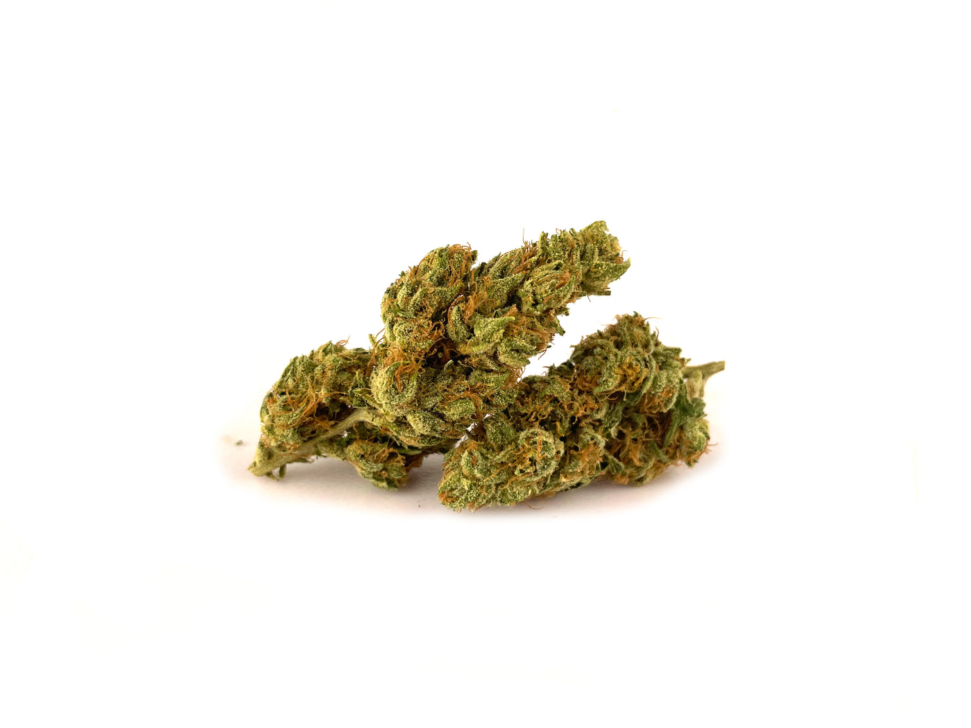Cannatonic CBD < 25 % - Cannabis Light - Indoor - Bongae