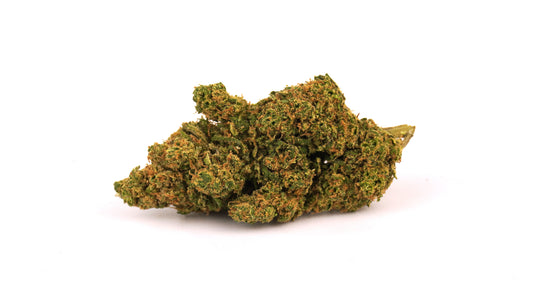 Super Skunk - CBD < 24% ~ Cannabis Light | Idroponica - BONGAE