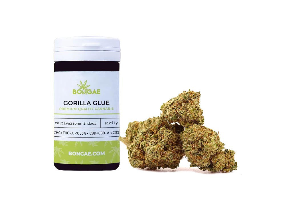 Gorilla Glue - kit degustazione da 10 gr.