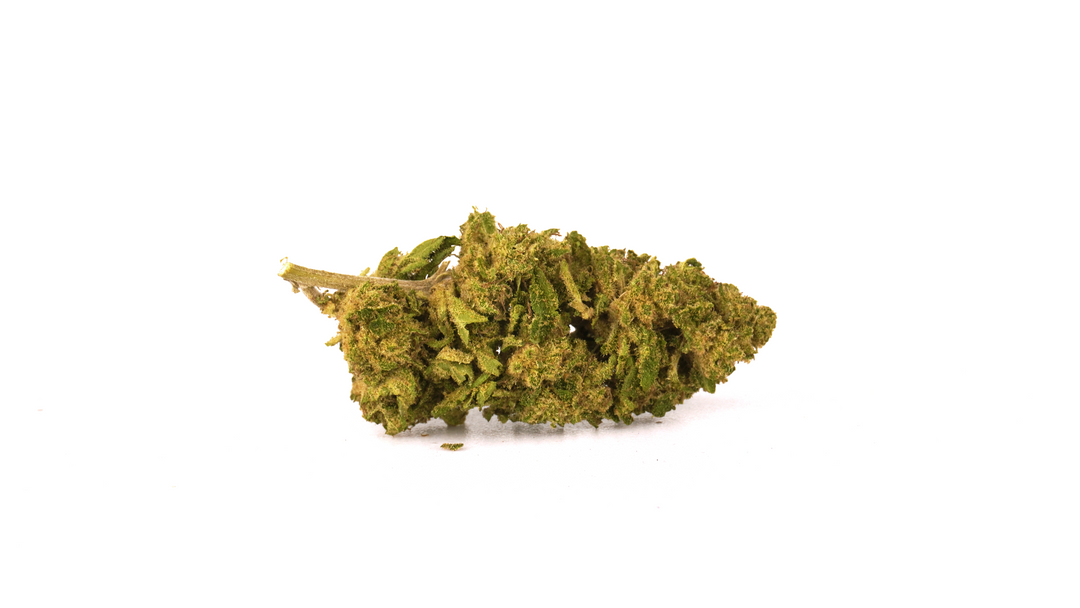 Lemon Haze CBD 20% ~ Cannabis Light | GreenHouse - Bongae