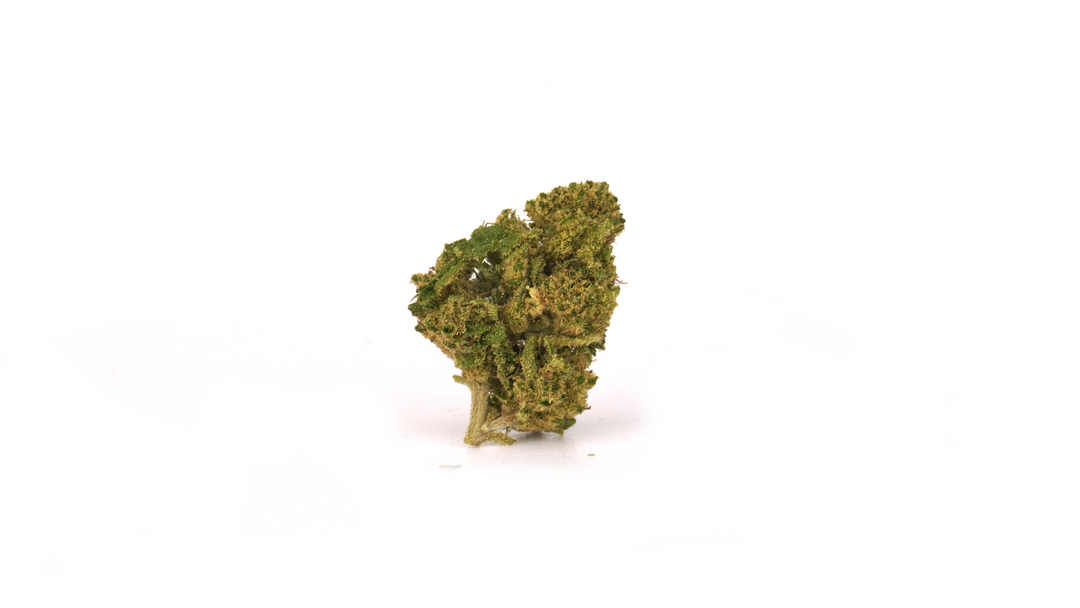 Lemon Haze CBD 20% ~ Cannabis Light | GreenHouse - Bongae