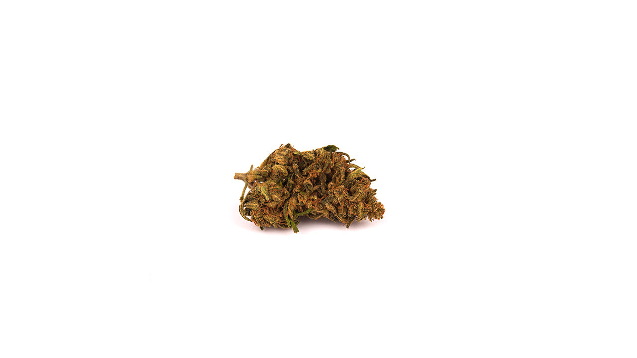 Fiore di Lemon Haze CBD - Bongae