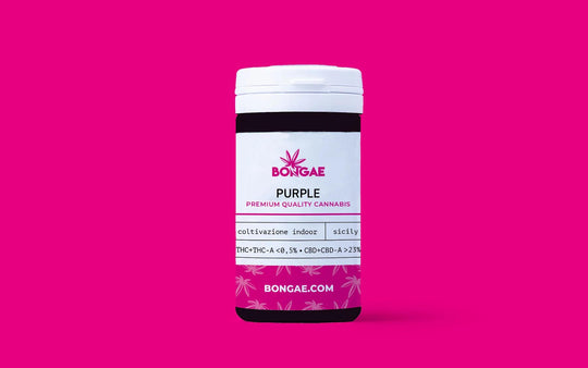 Purple - CBD 23% ~ | Cannabis Light | Indoor - Bongae 