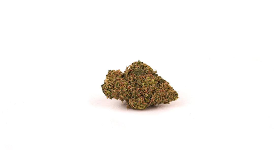 Super Skunk - CBD < 24% ~ Cannabis Light | Idroponica - BONGAE