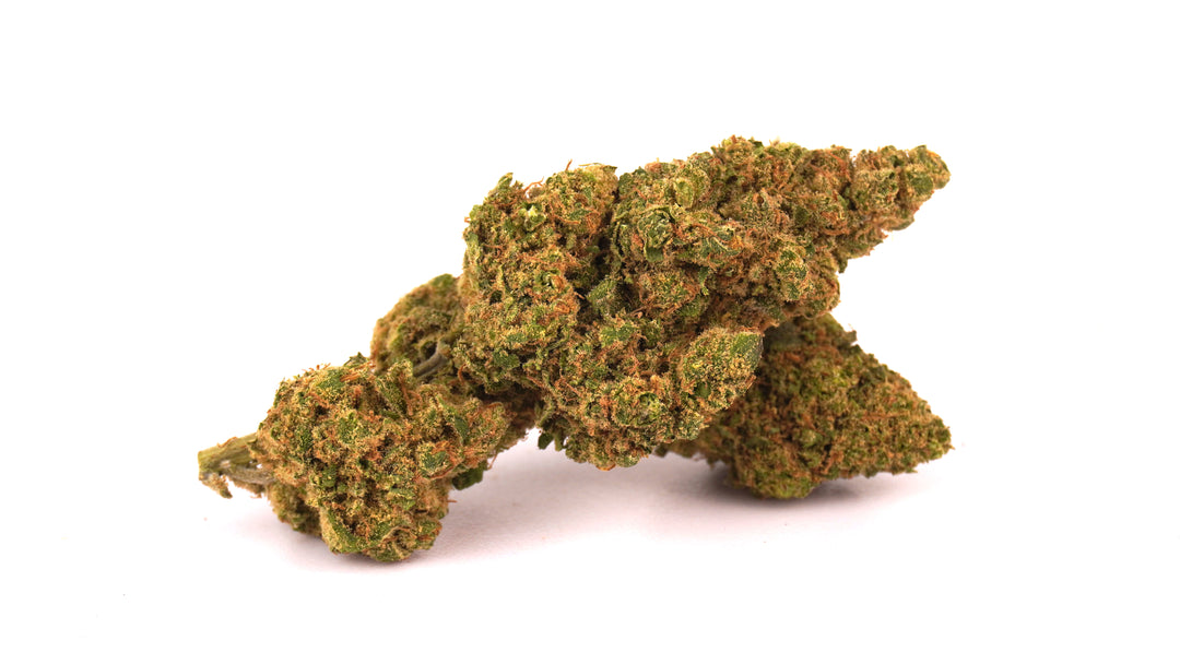 Super Skunk - CBD < 24% ~ Cannabis Light | Idroponica - BONGAE