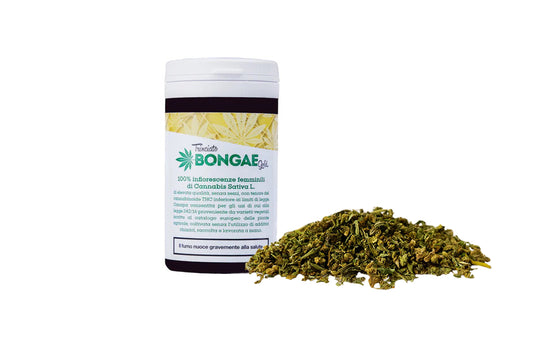 Trinciato Bongae Gold - 20 grammi - CBD < 20% - Bongae 