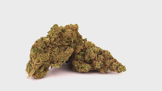 super skunk - cannabis light bongae