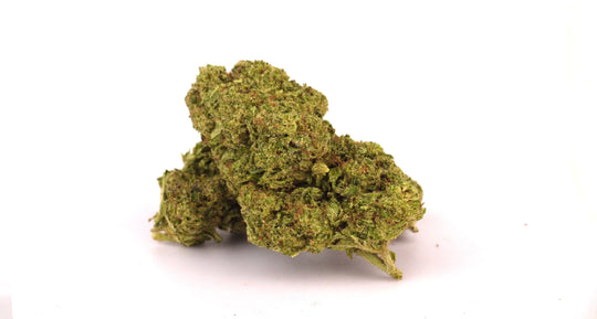 Fiore di Cannabis Light Fruit Squirt CBD 21% - Bongae