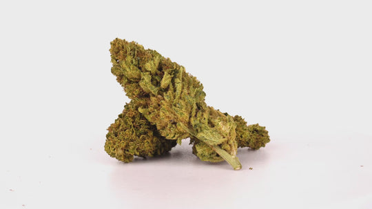 Lemon Haze CBD 20% ~ Cannabis Light | GreenHouse - Bongae