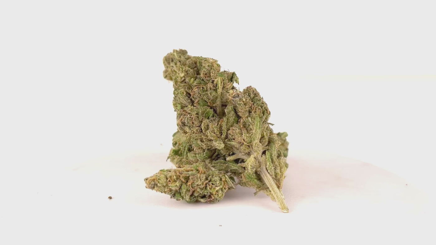 Video dei fiori Trinità CBD 22% ~ Cannabis Light | GreenHouse - Bongae