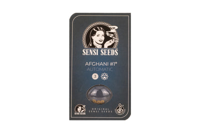 Immagine Packaging Sensi Seed - Afghani #1 Auto - Bongae 