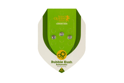 Packaging Bubble Kush Automatic - Royal Queen Seeds - Bongae 