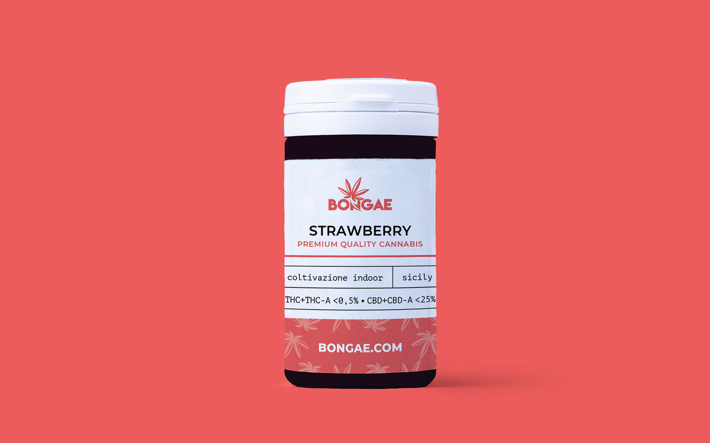StrawBerry CBD 25% - Cannabis Light - Indoor - Bongae 