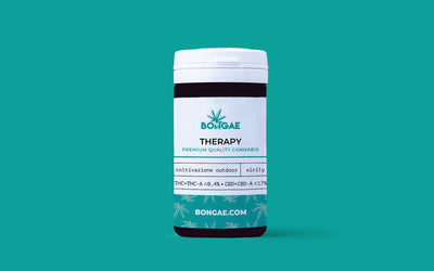 Therapy CBD 17% ~ Cannabis Light | Outdoor - Bongae 