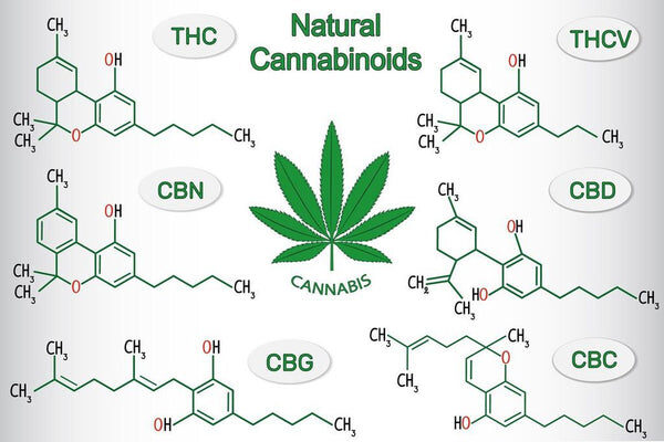 Illustrazione di tutti i cannabinoidi attualmente scoperti, CBD, CBN, CBC, CBG - Bongae.com