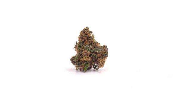 Dinamed CBD 25% ~ Cannabis Light | Indoor - Bongae