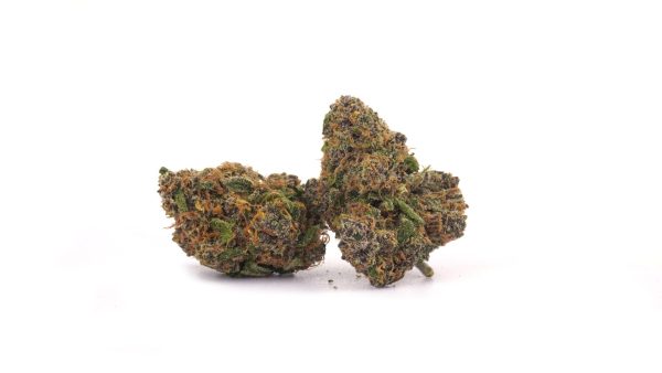 Dinamed CBD 25% ~ Cannabis Light | Indoor - Bongae