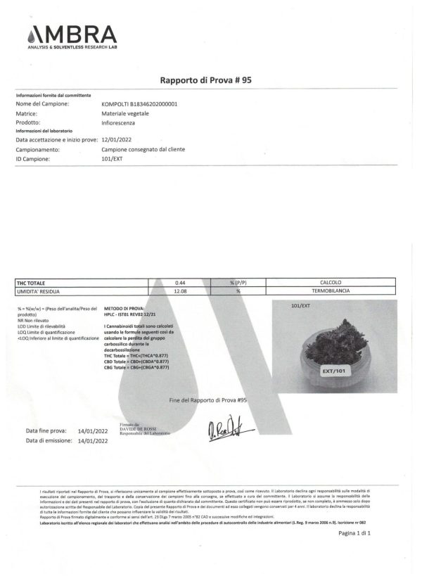 Cannatonic CBD < 25 % - Cannabis Light - Indoor - Bongae