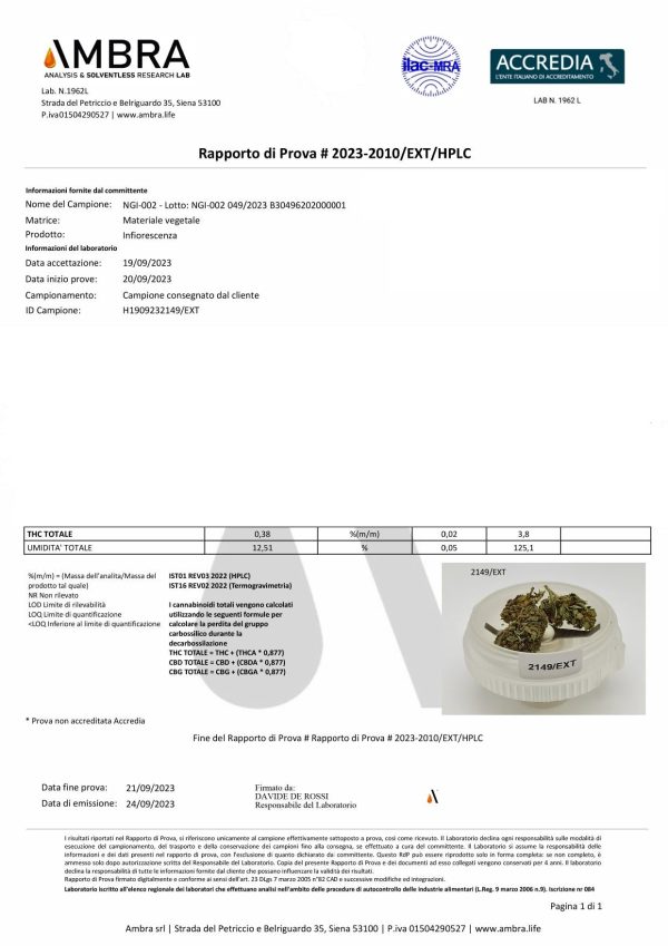 Analisi Strawberry - Bongae