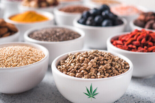 Immagine esplicativa dei 5 cibi che stimolano il sistema endocannabinoide