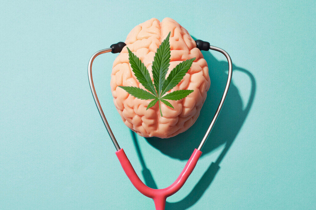 Benefici CBD e Sistema endocannabinoide per la salute mentale - Bongae