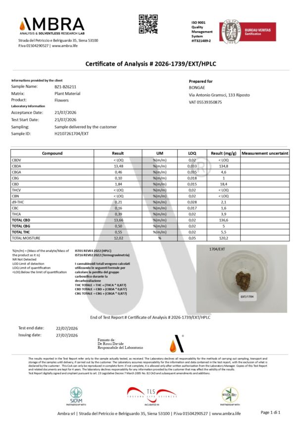 BZ1 - CBD 21% ~ Cannabis Light | Indoor