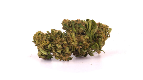 White Widow  – CBD 18% | Cannabis Light | Outdoor