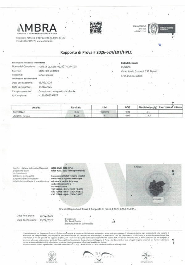 analisi harley quinn