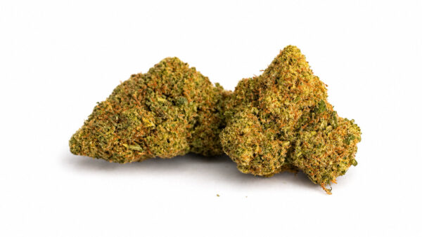 Lemon Haze CBD 20% ~ Cannabis Light | Idroponica