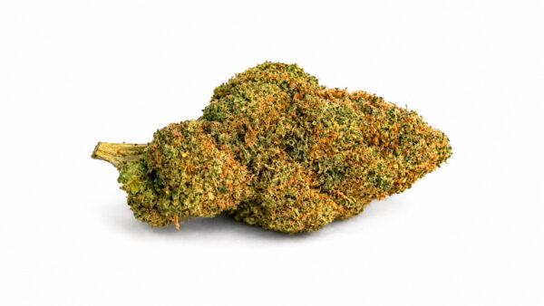Lemon Haze CBD 20% ~ Cannabis Light | Idroponica